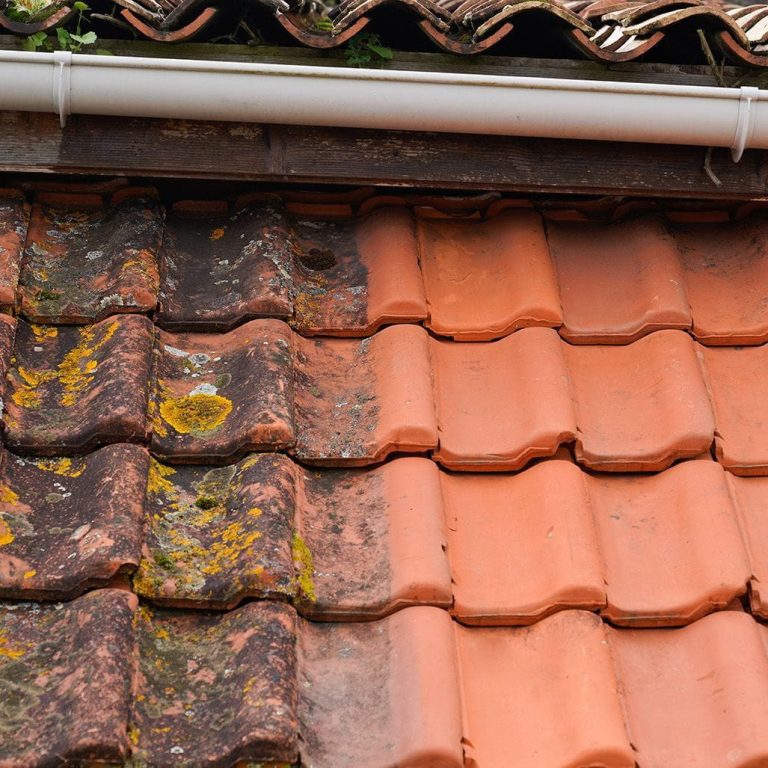 nettoyage et traitement de tuiles a divonnes les bains